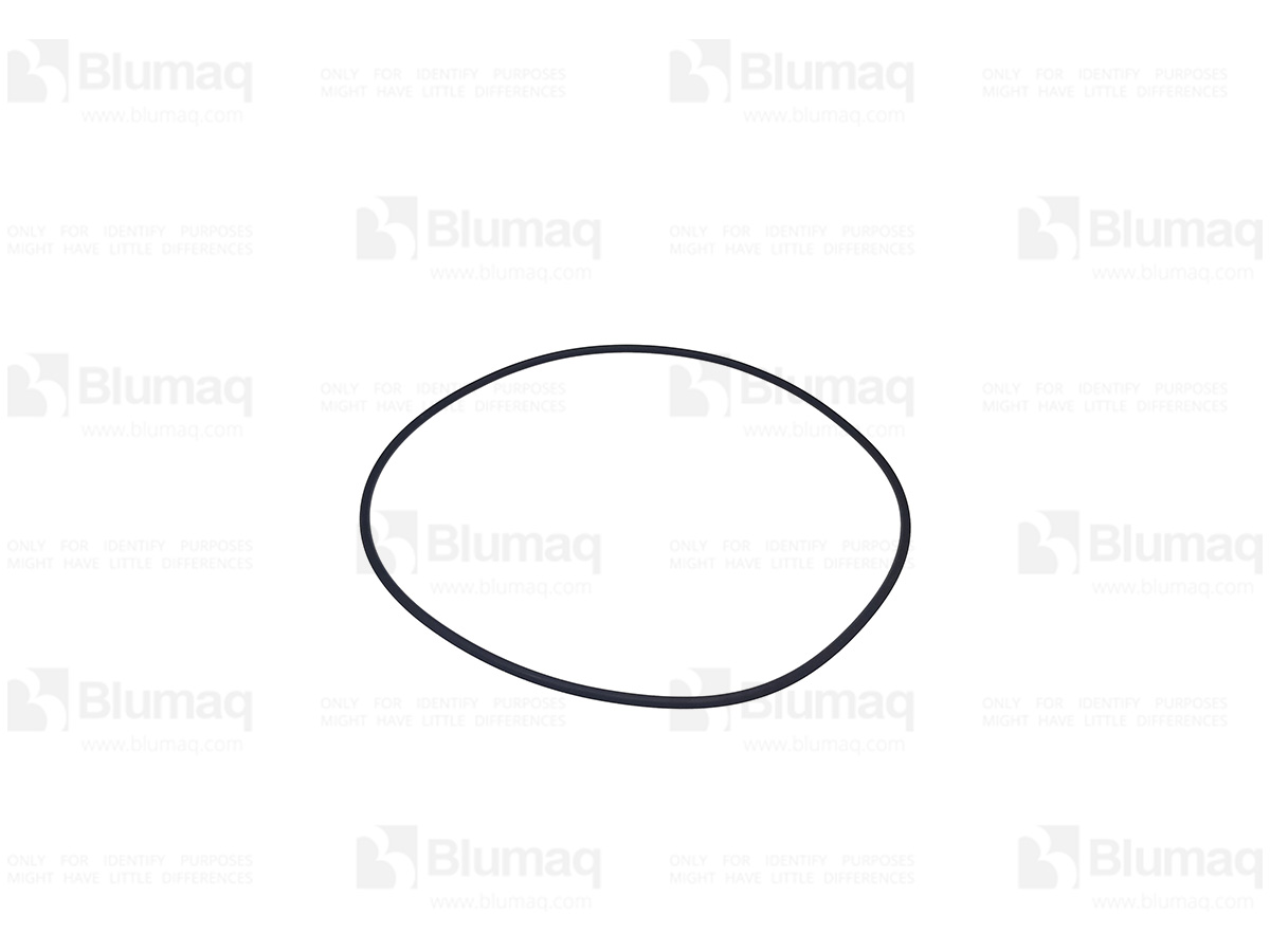 CS83934009 Seal O-ring