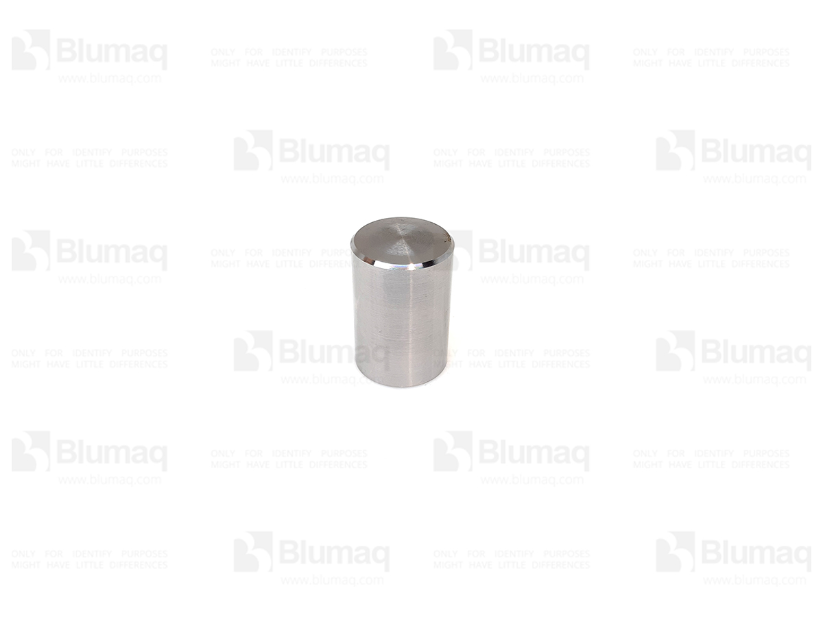 2W-1969 Valve for BLUMAQ