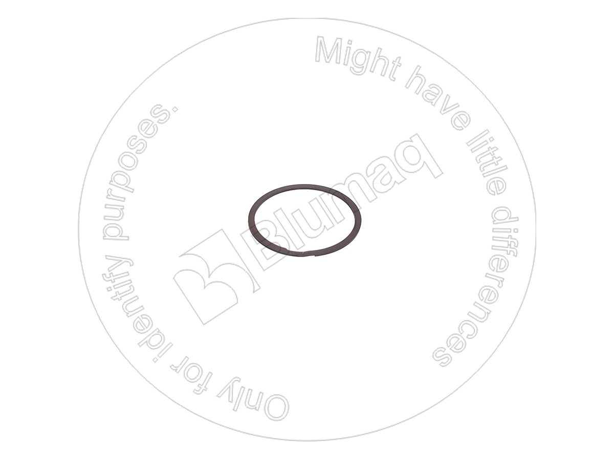 9M-2095 Ring for BLUMAQ