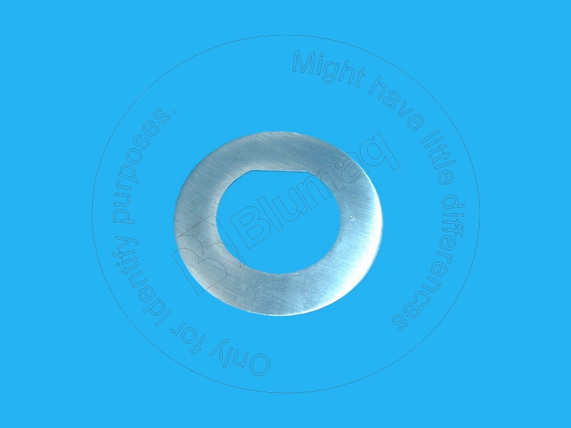 2G-0339 Lock Plate for BLUMAQ