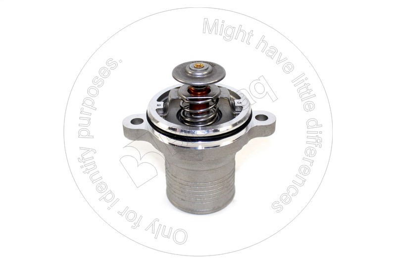 254-2267 Thermostat for BLUMAQ
