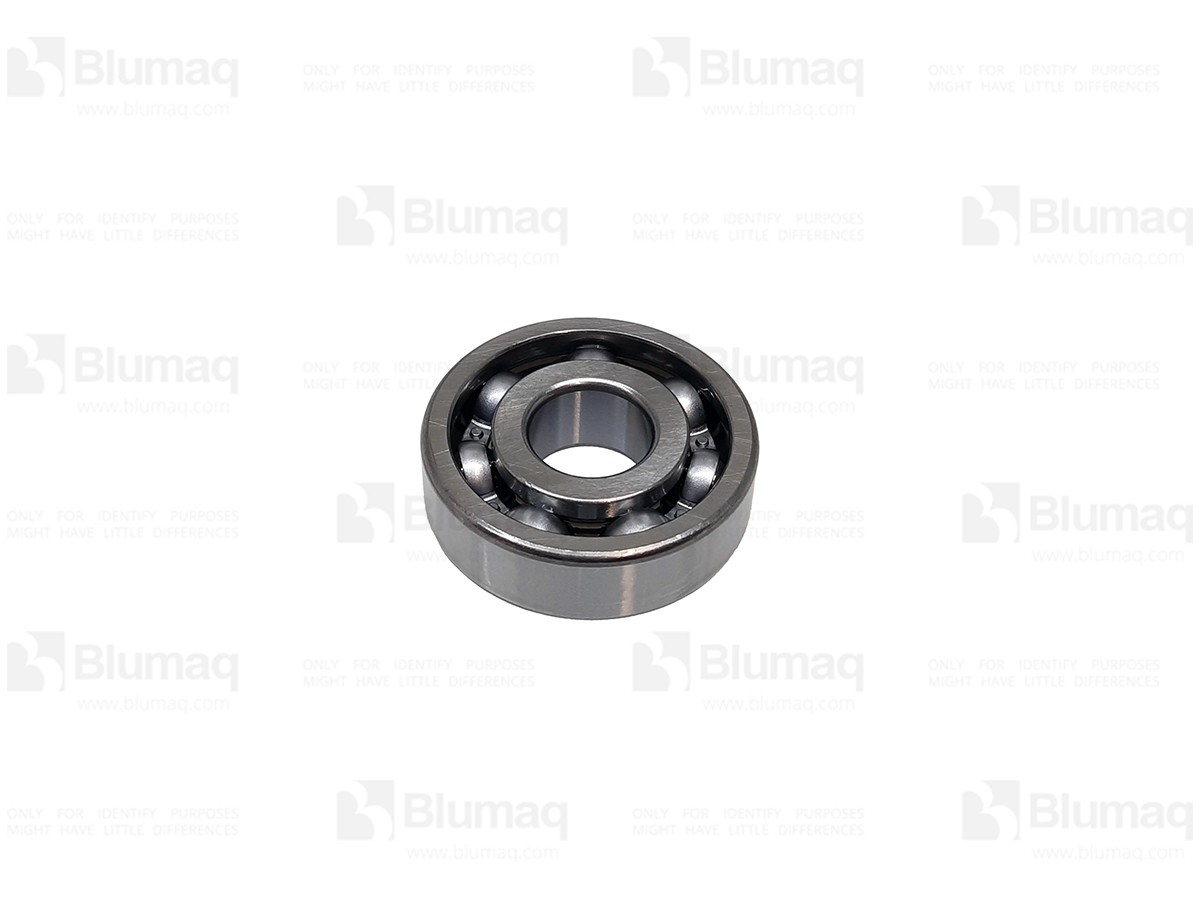 06000-06303 Bearing for BLUMAQ