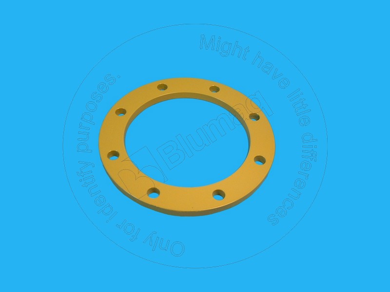 6G-7339 Plate for BLUMAQ
