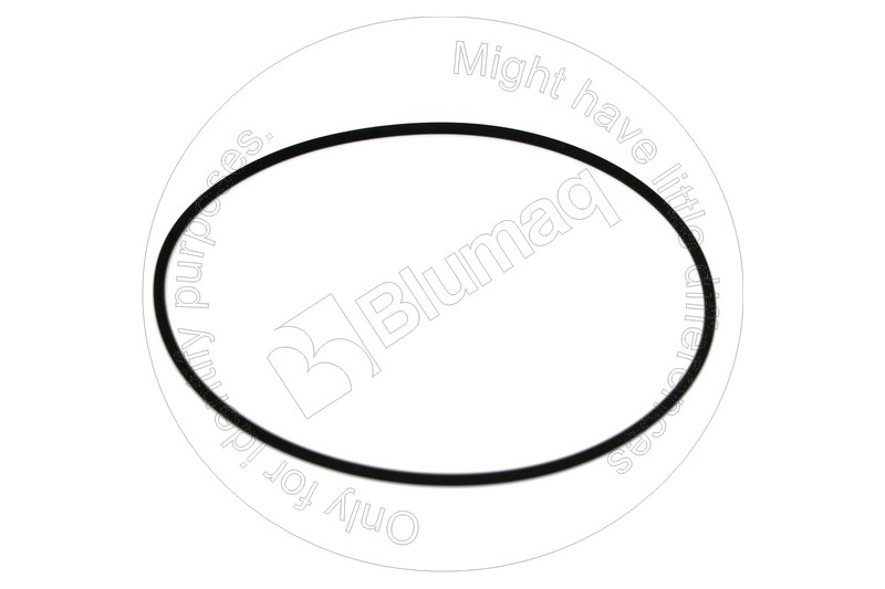115.A504 Seal O-ring for BLUMAQ