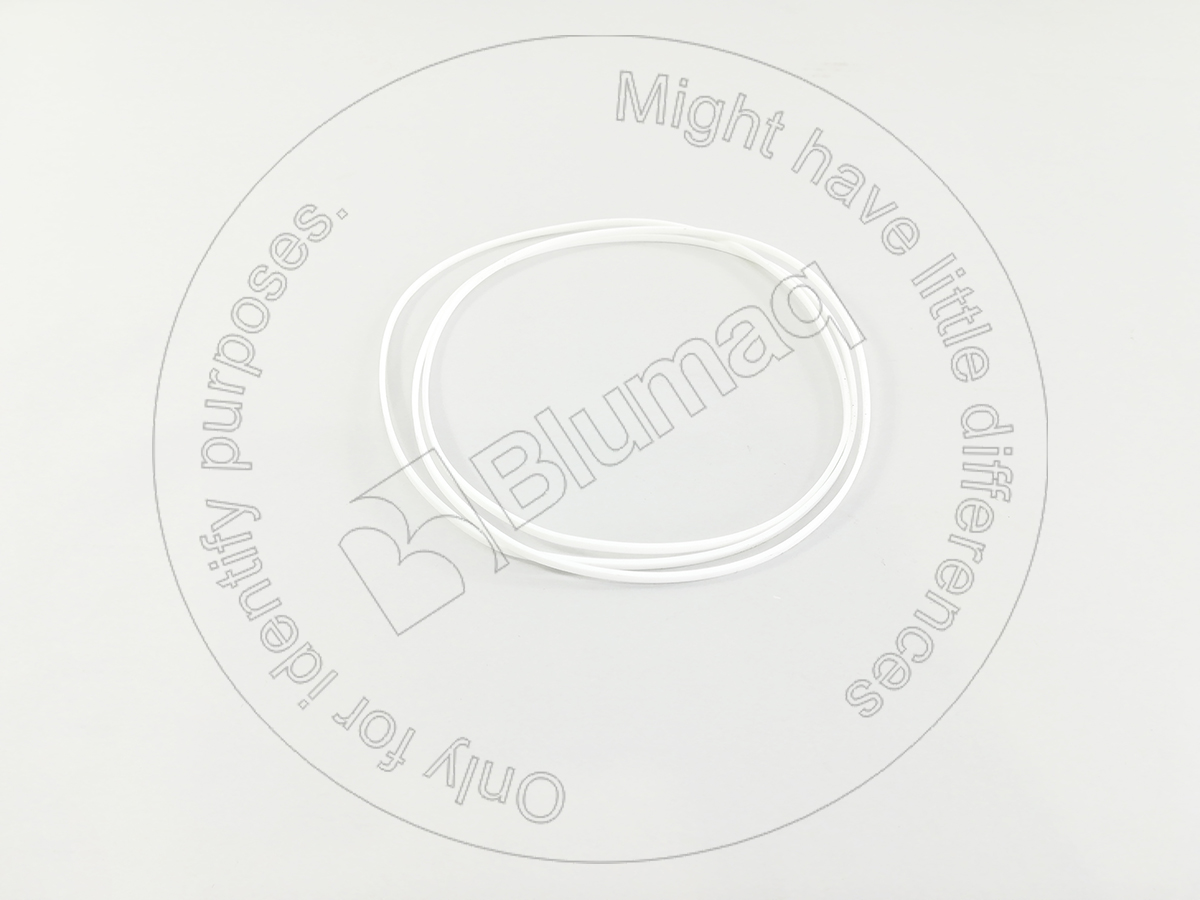 7S-6892 Segment for BLUMAQ