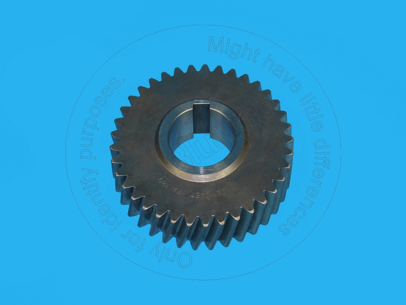 216-0040 Gear