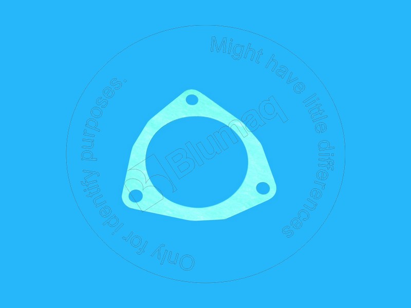 294-1841 Paper Gasket for BLUMAQ