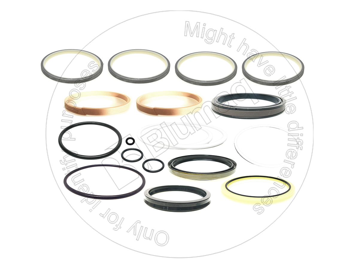 7079956740 Arm Seal Kit for BLUMAQ