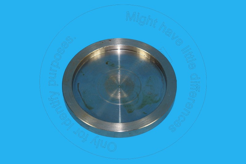 209-6188 Plate for BLUMAQ