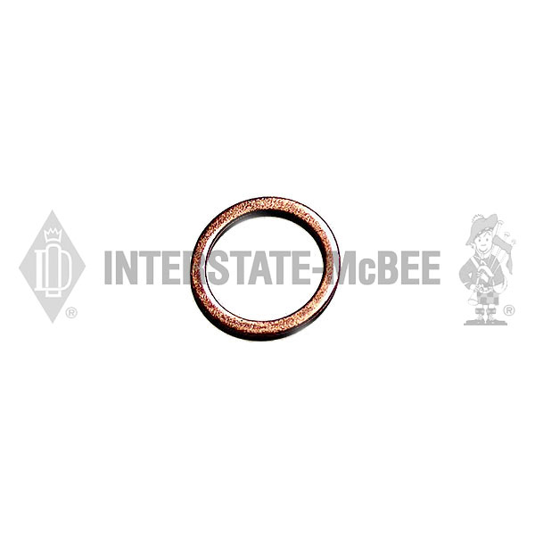 A-5161003 Gasket - Valve Plug - S60