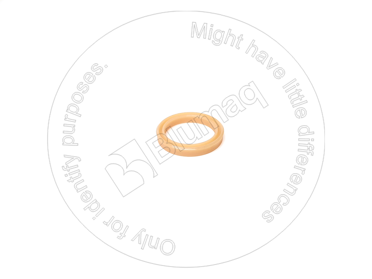1P-4880 Seal for BLUMAQ