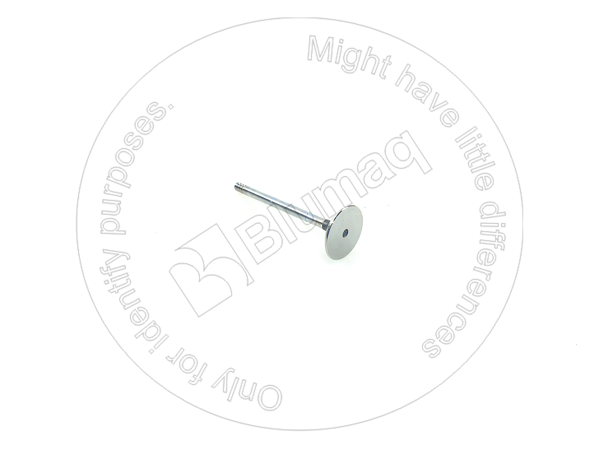 152-9857 Valve for BLUMAQ