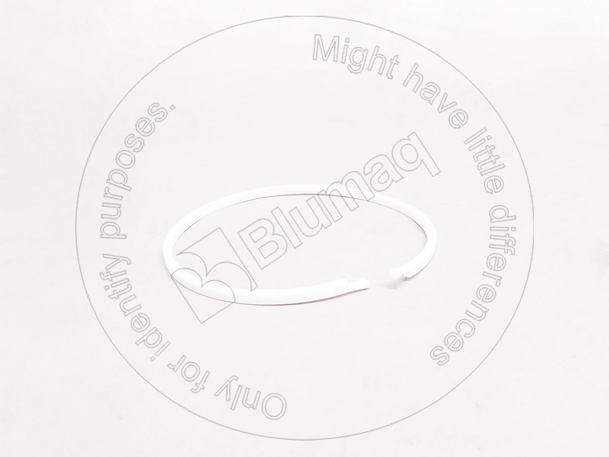 7P-1697 Segment for BLUMAQ