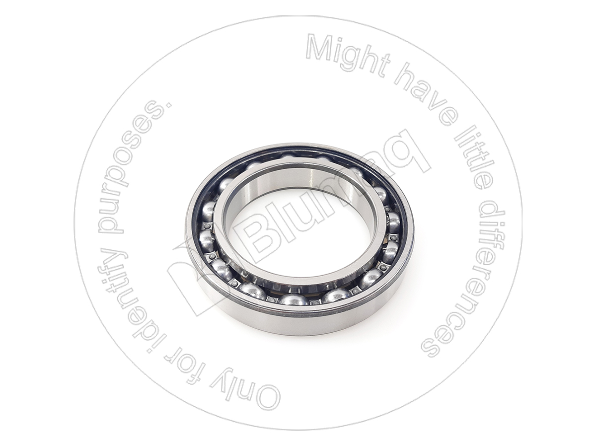 0600006013H Bearing for BLUMAQ