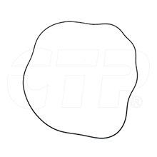 7D7519 Seal O Ring