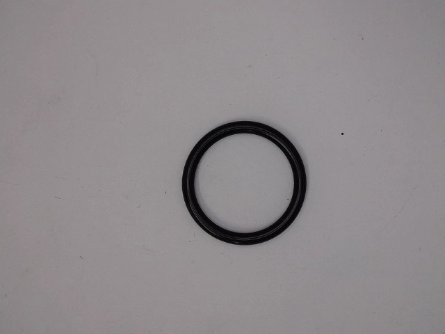 ACP0230500 O-ring for AGCO