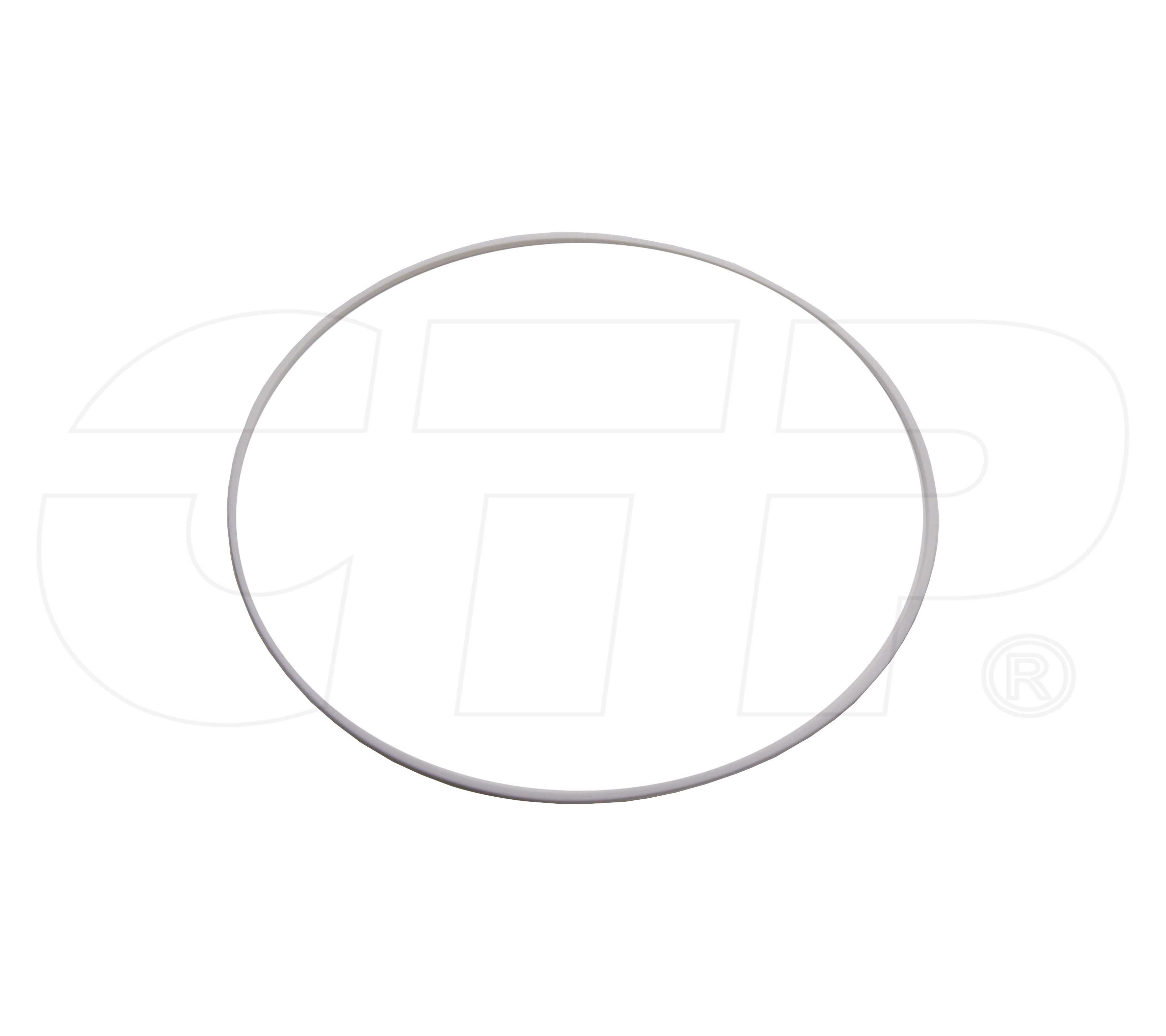 8P9569 Ring Seal