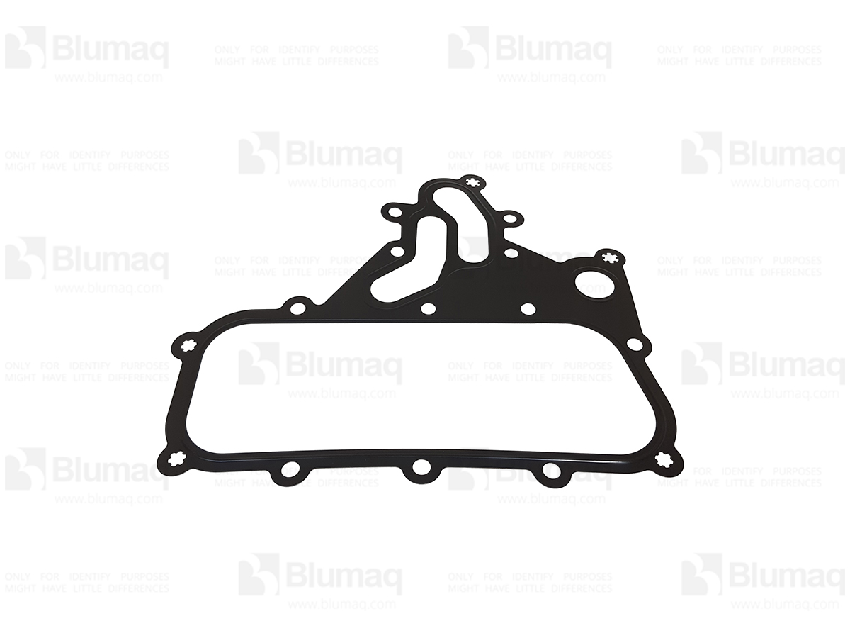 277-2500 Gasket for BLUMAQ