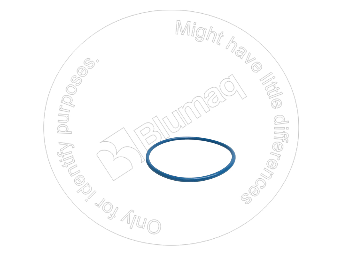 228-7097 BLUMAQ Seal O-ring