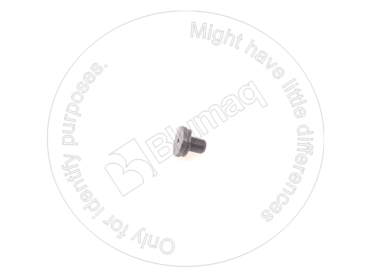 1W-6987 Valve for BLUMAQ