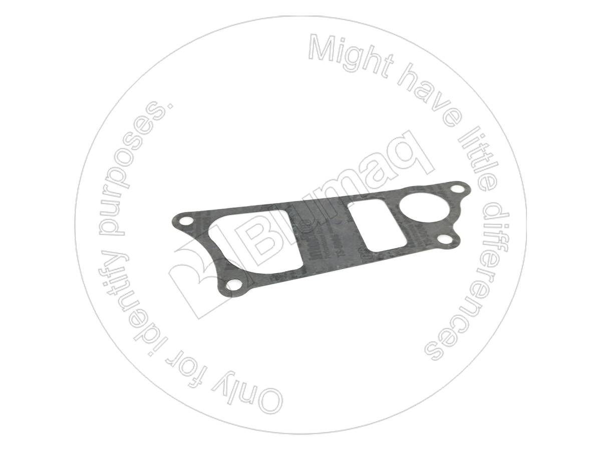CU4982218 BLUMAQ W. Pump Gasket
