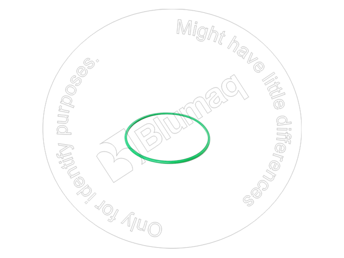 203-5957 Seal O-ring for BLUMAQ