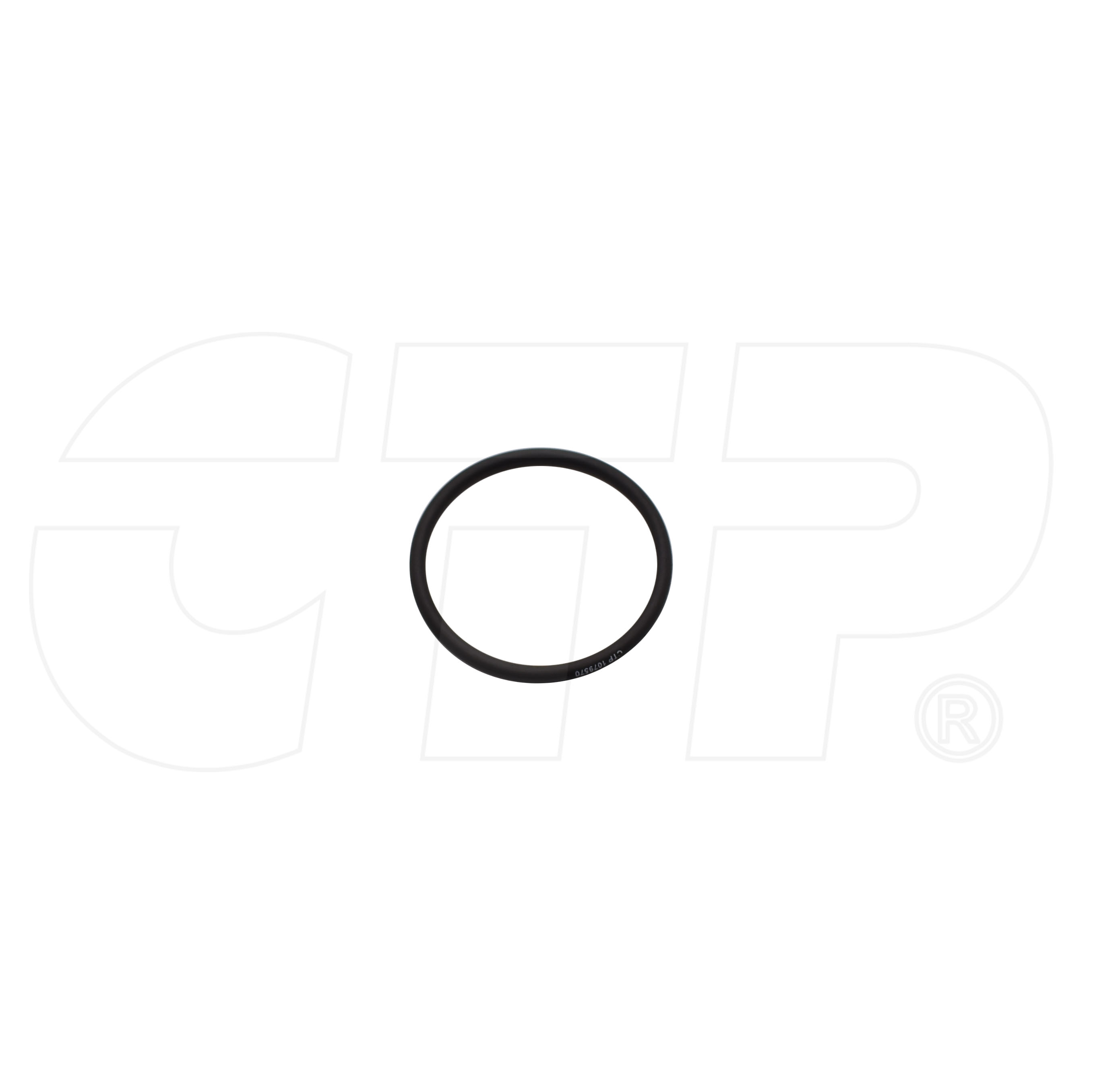 1079570 CATERPILLAR Seal O Ring