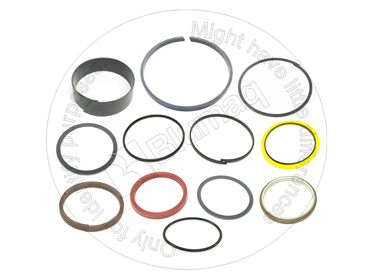 176-4999 Hydraulic Seal Kit for BLUMAQ