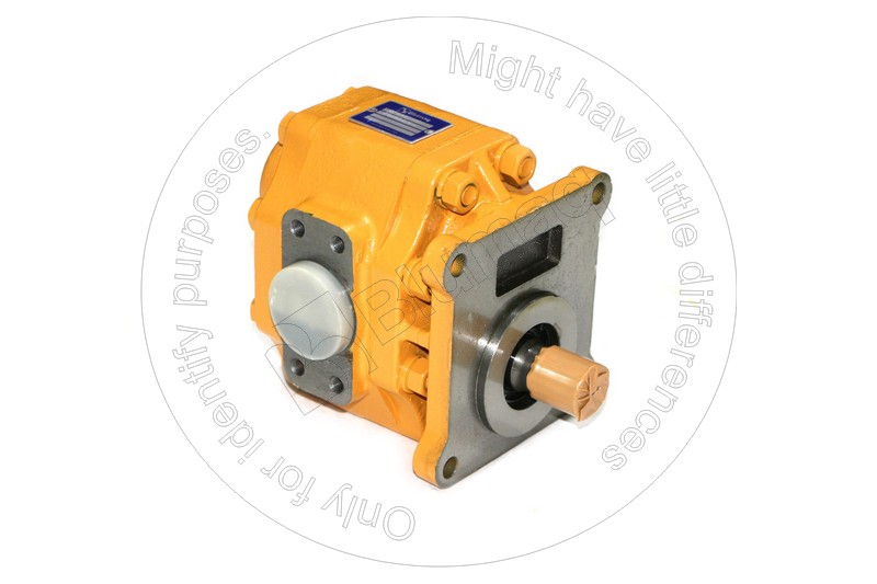07442-71101 Steering Pump for BLUMAQ