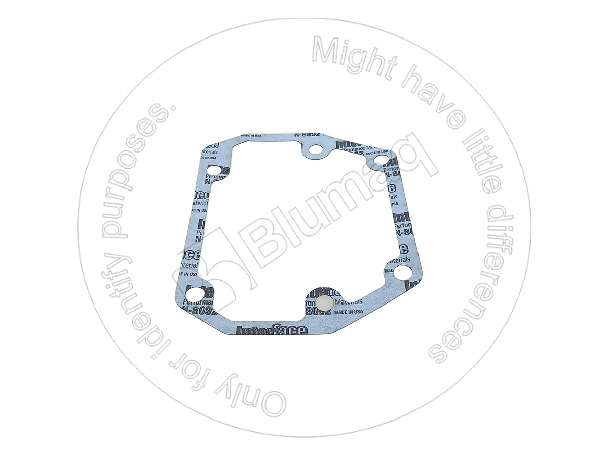 6215-21-6430 Paper Gasket for BLUMAQ