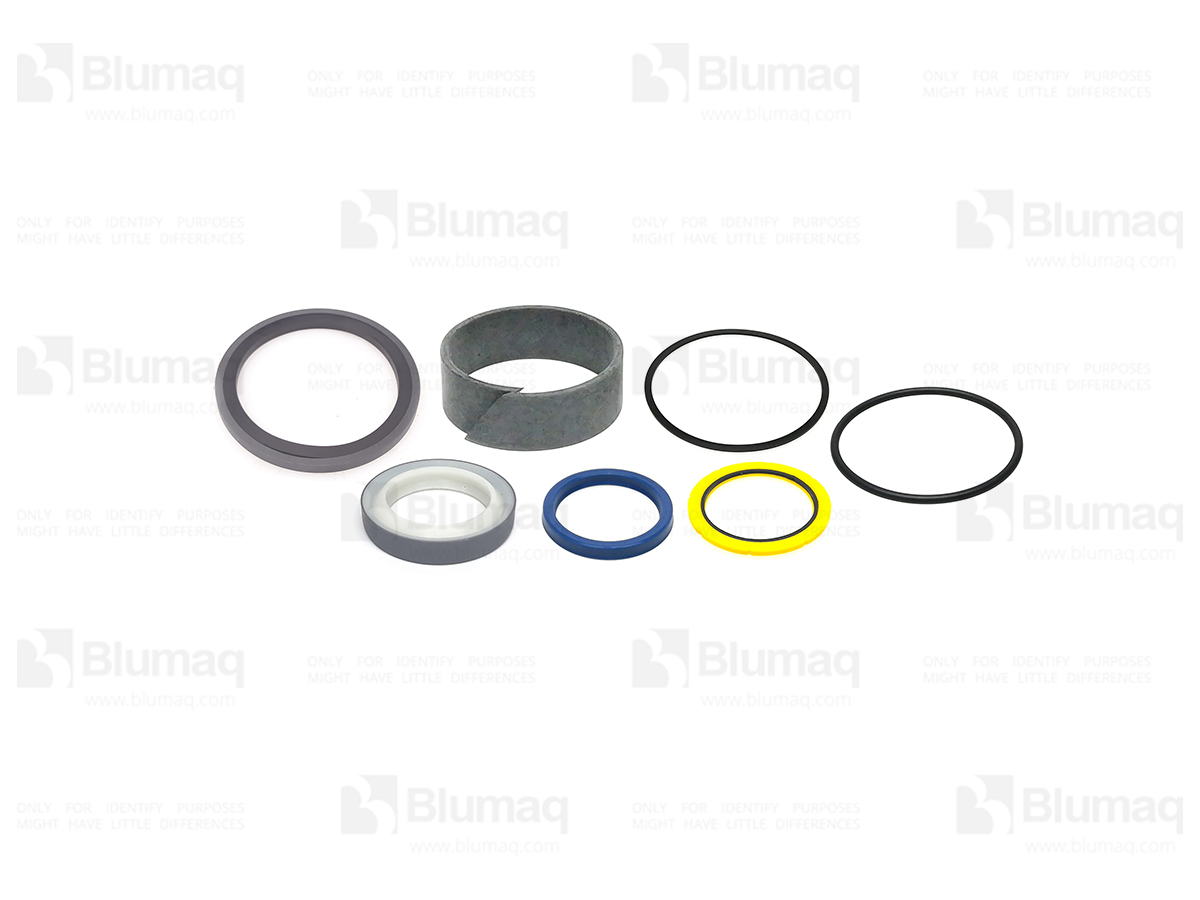 BD637379 Stick Hyd. Seal Kit for BLUMAQ