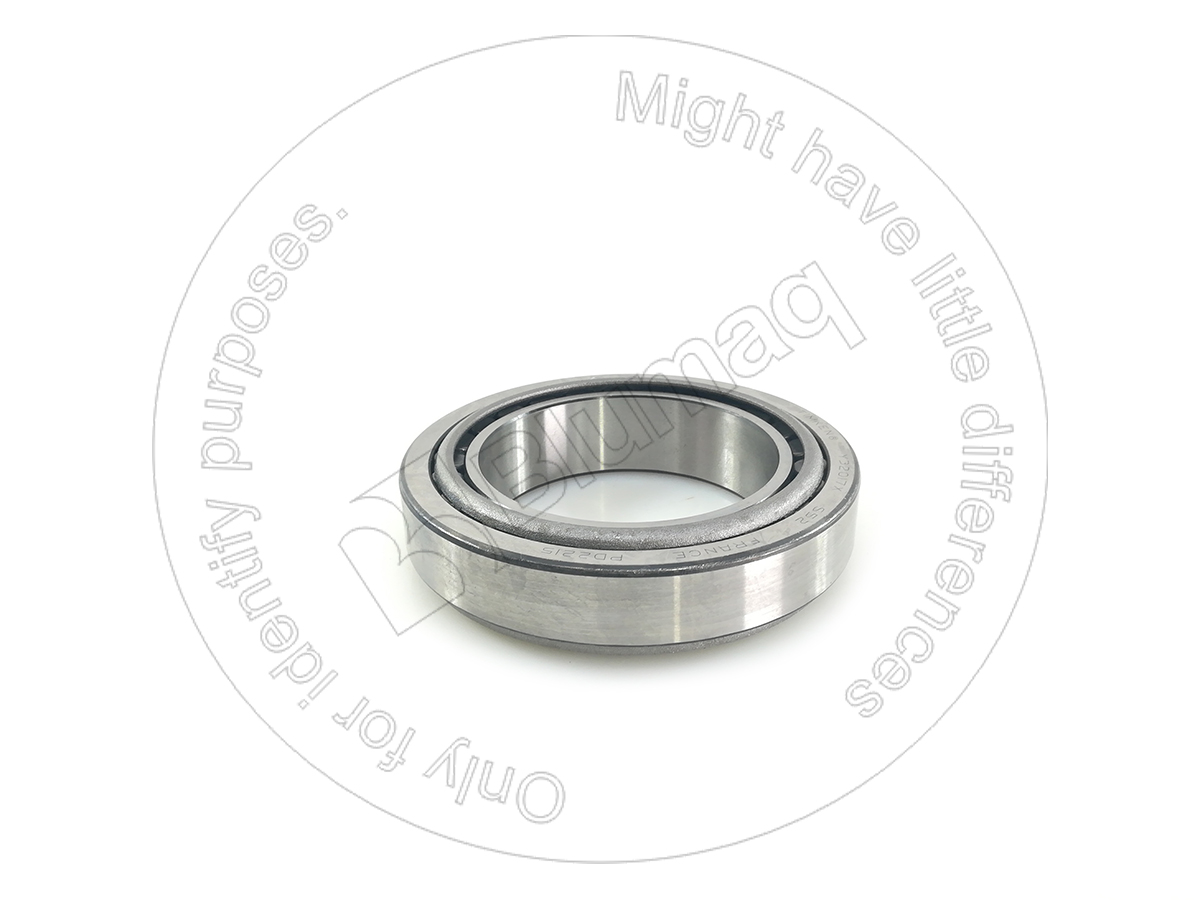 32017 BLUMAQ Bearing