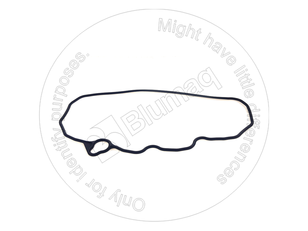 HUNE53273 Gasket for BLUMAQ