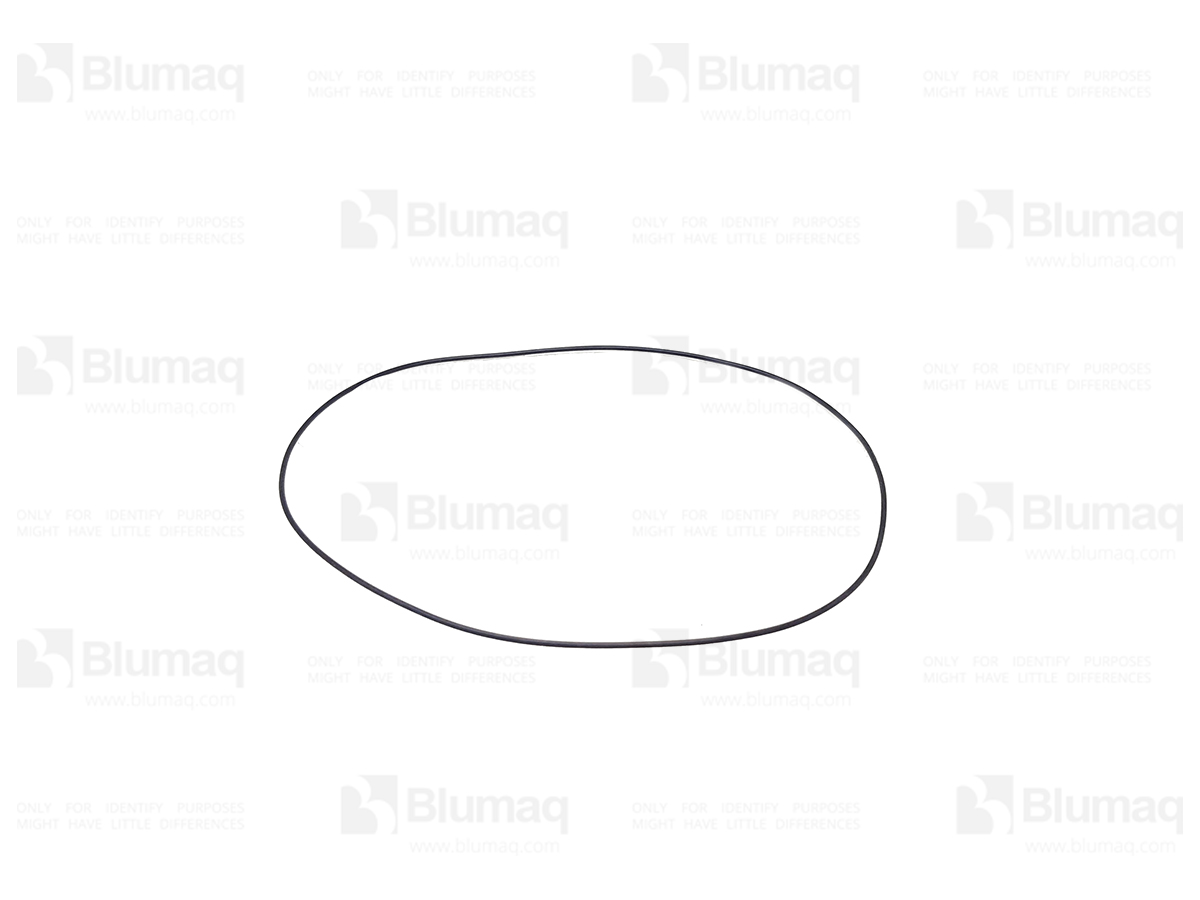 116-5897 Seal O-ring for BLUMAQ