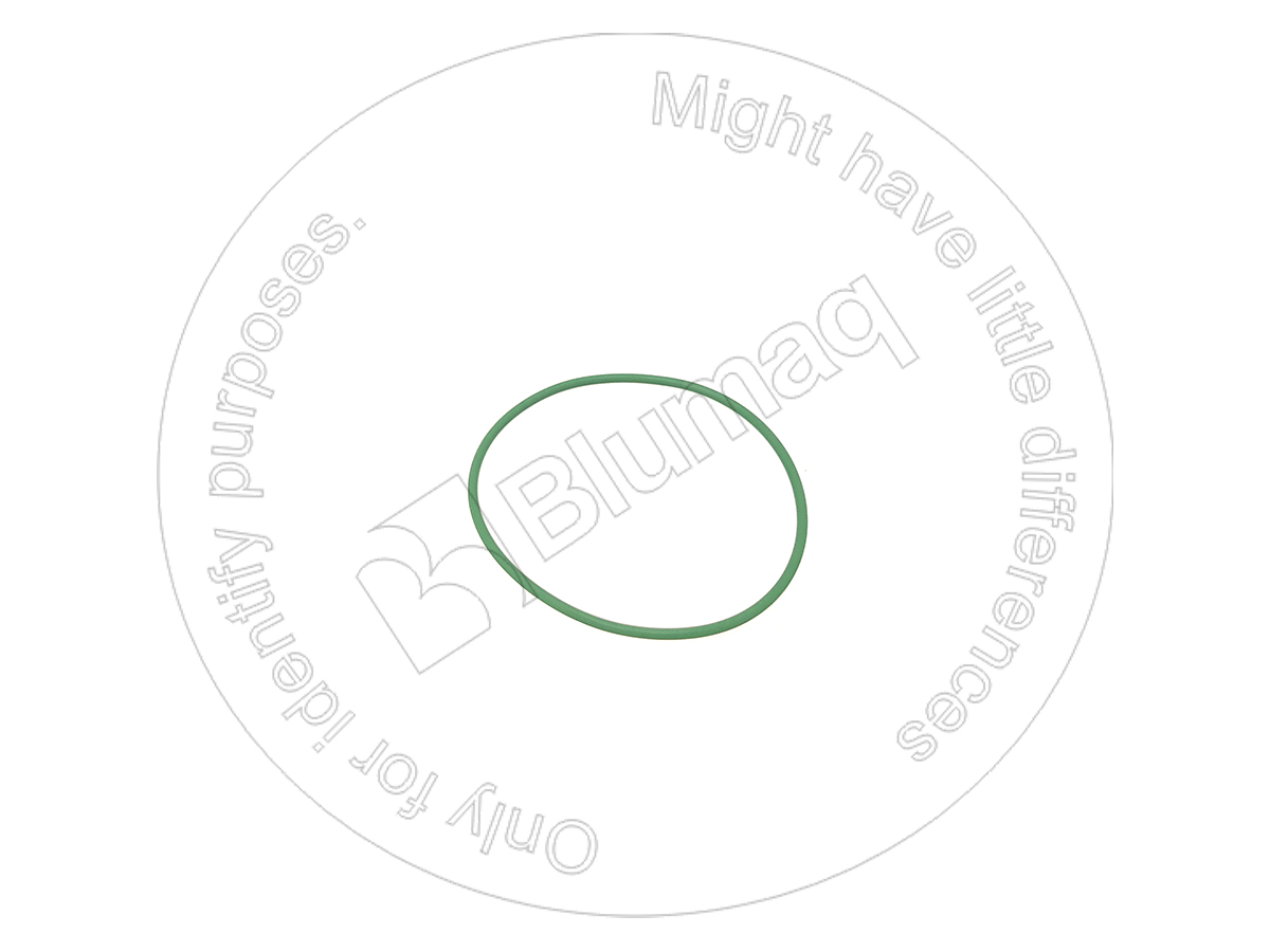900.01797 Seal O-ring for BLUMAQ