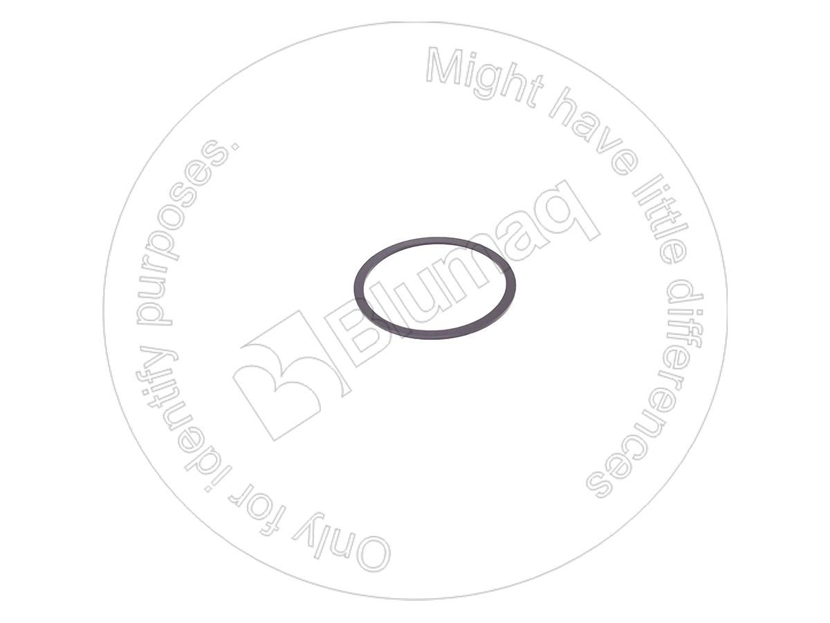 VO956720950 Back-up Ring for VOLVO
