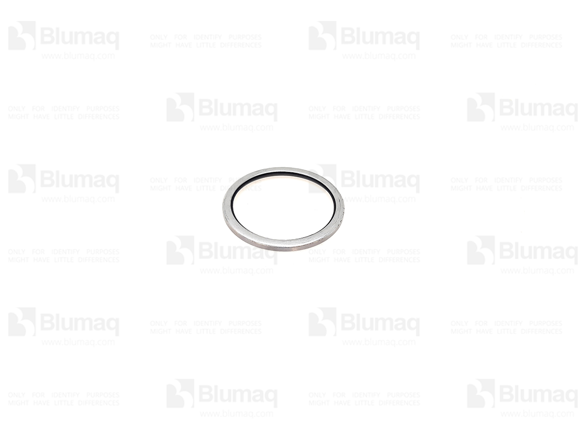 093-1432 Wiper Seal for BLUMAQ