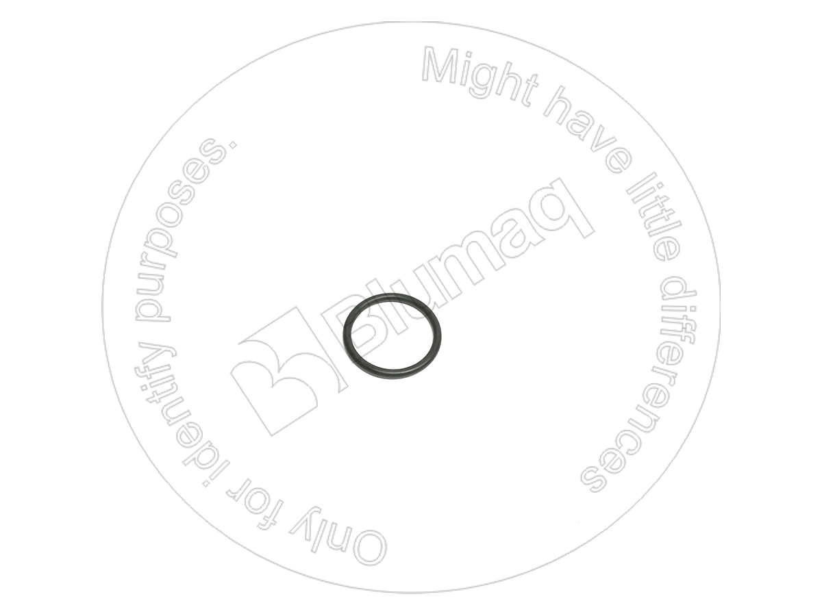 CSB17294 Seal O-ring for BLUMAQ