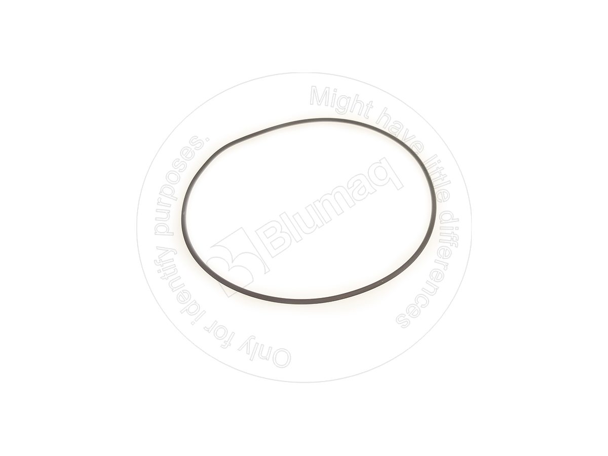 107-6986 Seal O-ring for CATERPILLAR