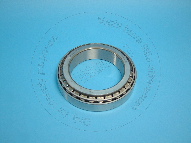 DG005.10.3166 Tapered Bearing for BLUMAQ