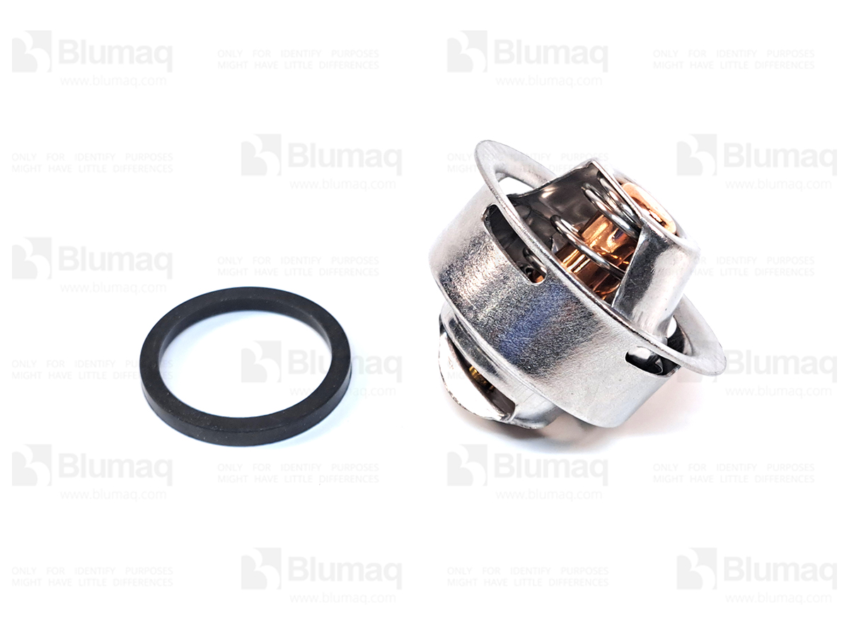 5I-8010 Thermostat for BLUMAQ