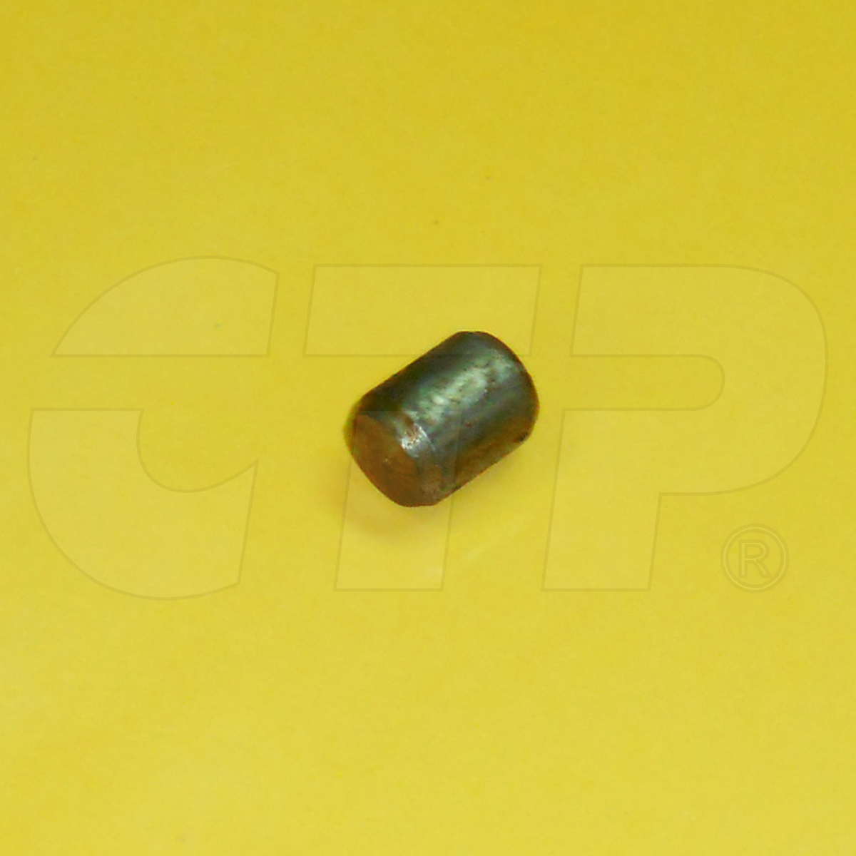 6F0698 Dowel