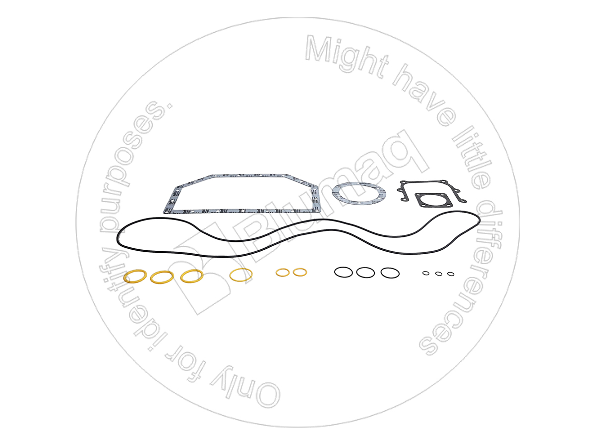 107-2578 Gasket Kit for BLUMAQ
