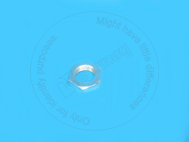 243-5026 Nut for BLUMAQ
