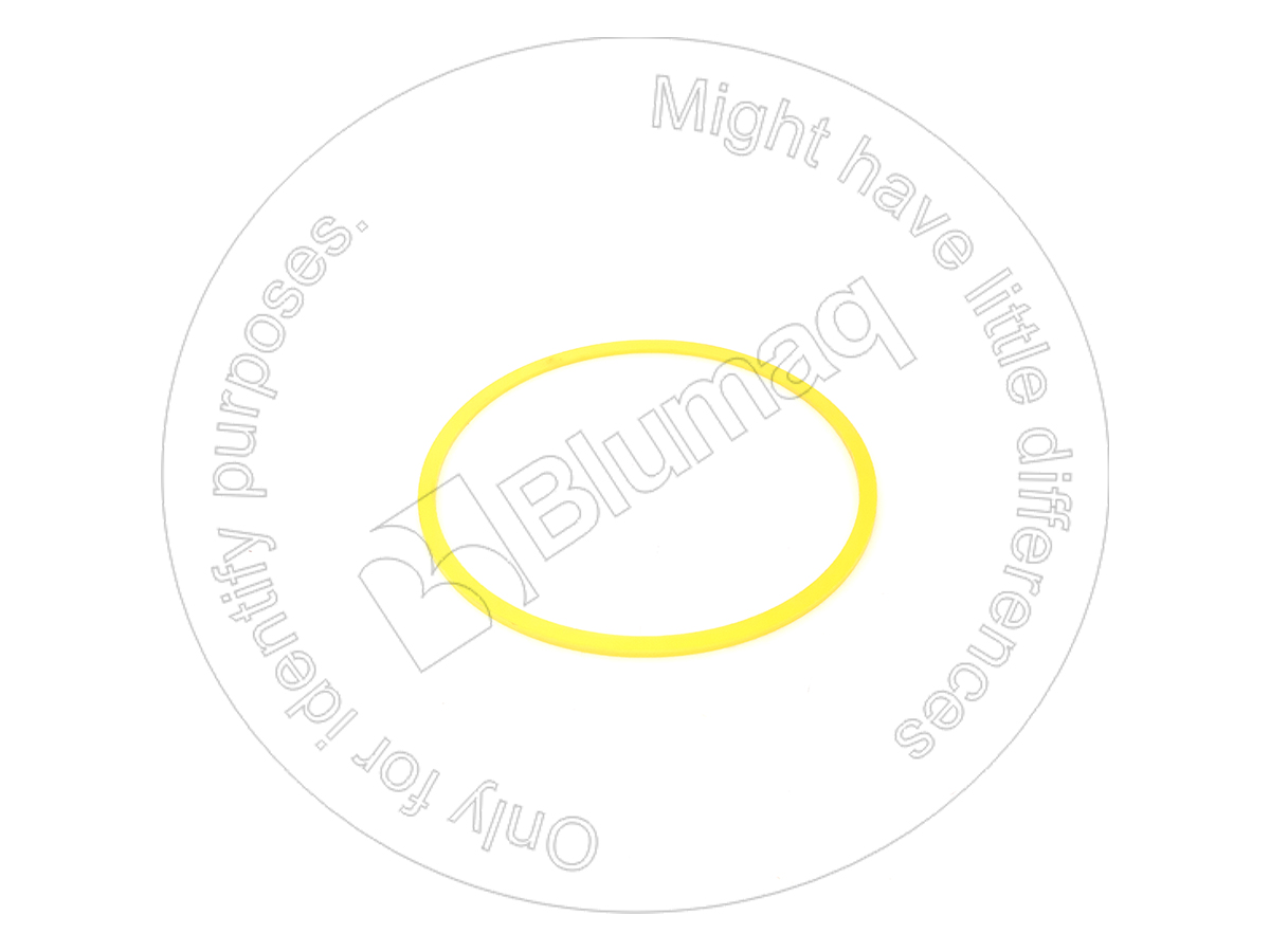 6J-7693 Seal Ring for BLUMAQ