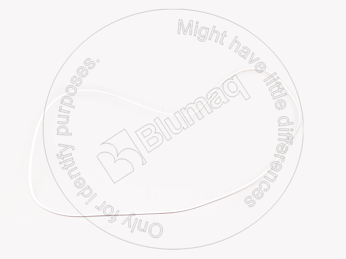 9D-7851 Seal Ring