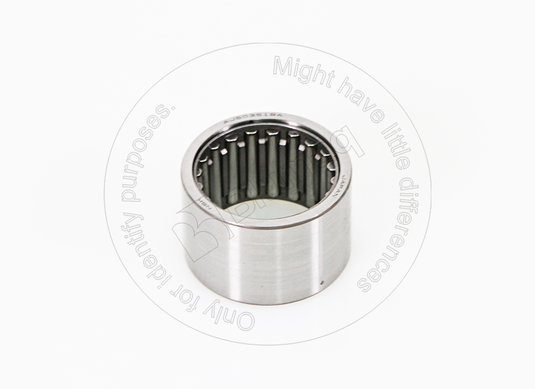 RNA6906 Bearing for BLUMAQ