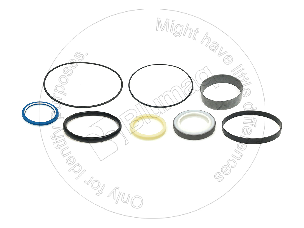 517234 Hydraulic Seal Kit for BLUMAQ