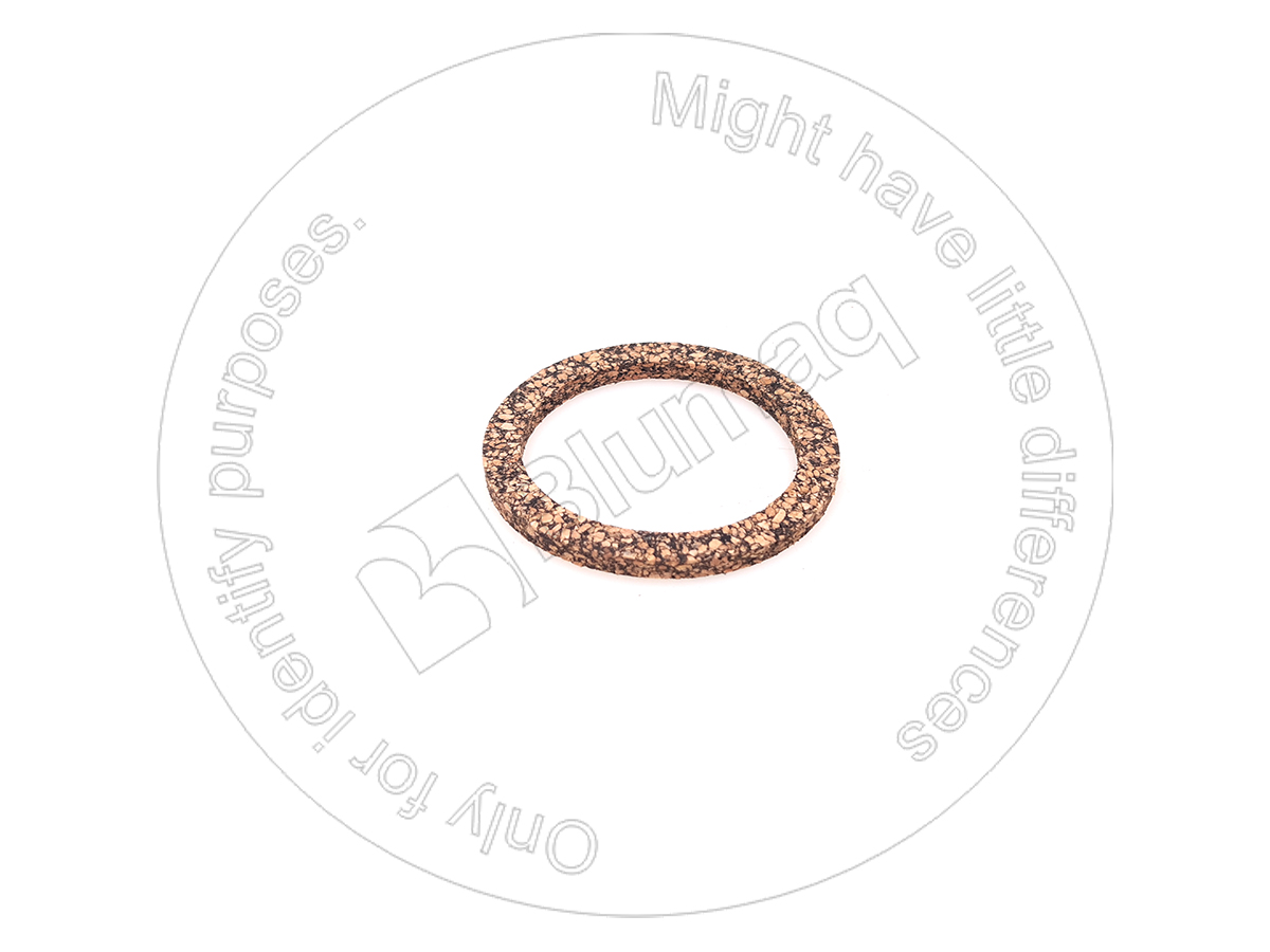 2D-9797 Gasket