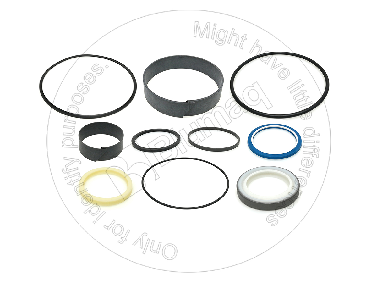 286-1075 Hydraulic Seal Kit for BLUMAQ
